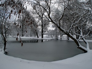 Ladovsk zima v Ostrav.