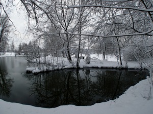 Ladovsk zima v Ostrav.