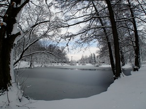 Ladovsk zima v Ostrav.