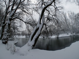 Ladovsk zima v Ostrav.