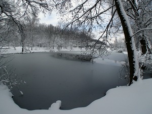 Ladovsk zima v Ostrav.