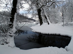 Ladovsk zima v Ostrav.