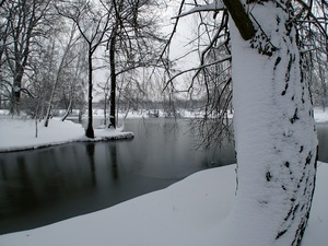 Ladovsk zima v Ostrav.