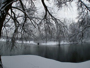 Ladovsk zima v Ostrav.