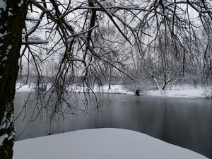 Ladovsk zima v Ostrav.