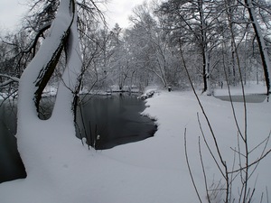 Ladovsk zima v Ostrav.