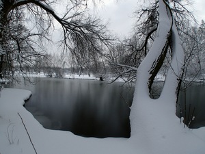 Ladovsk zima v Ostrav.