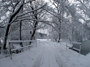 Ladovsk zima v Ostrav.