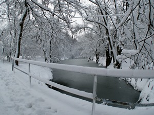 Ladovsk zima v Ostrav.