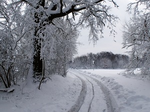 Ladovsk zima v Ostrav.