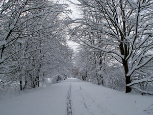 Ladovsk zima v Ostrav.