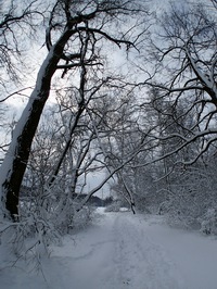 Ladovsk zima v Ostrav.