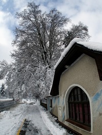 Ladovsk zima ve Svikov:-)