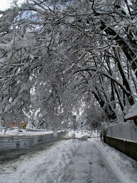 Ladovsk zima ve Svikov:-)