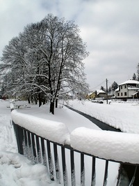 Ladovsk zima ve Svikov:-)