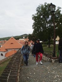 Mikulov