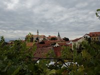 Mikulov